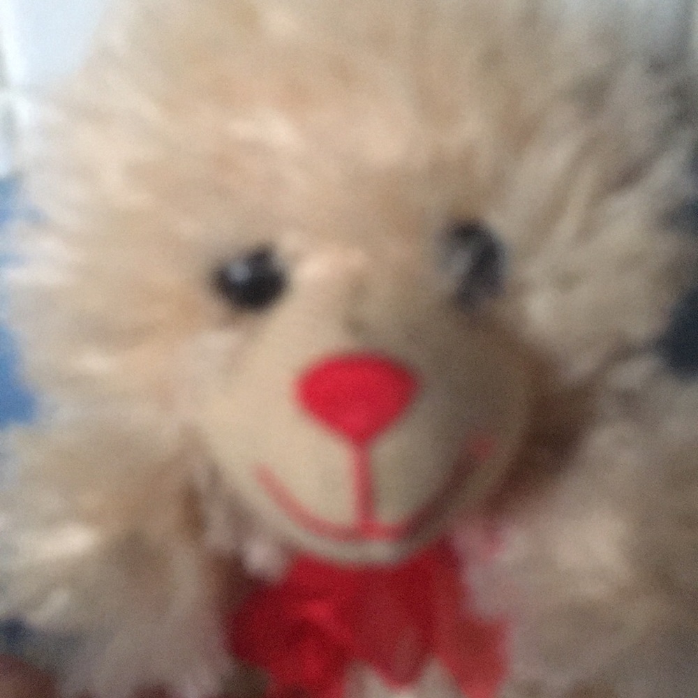 Teddy bear - Picture 2 of 4